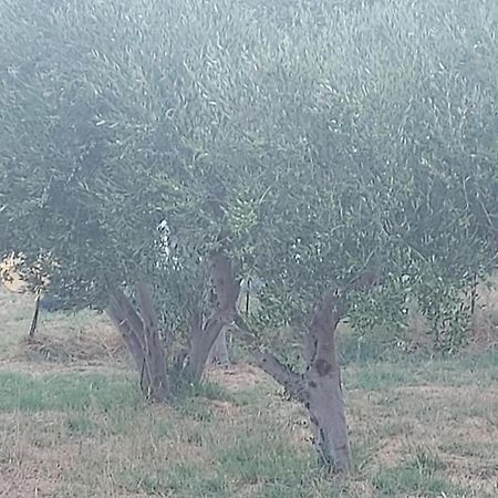 Principessa Telendos Villa Kálymnos Kültér fotó